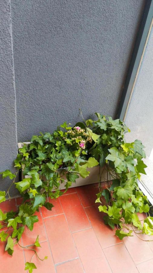 Apartmán So Fine Petruzzelli Flat Bari Exteriér fotografie